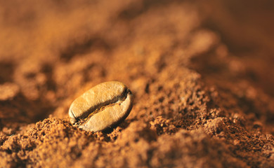 Macro coffee beans and ground coffee