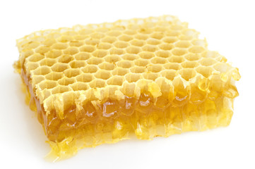 Honeycomb isolated on white