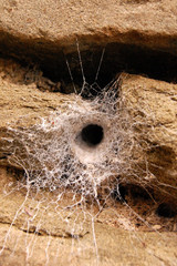 The hole