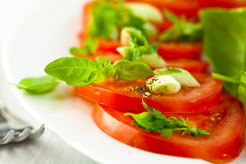 Closeup of tomato salad