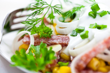 Salami salad closeup