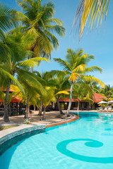 Fototapeta na wymiar Swimming pool with coconut palm trees