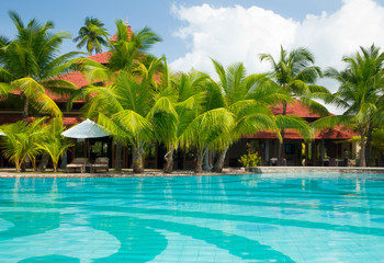 Swimming pool with palm trees