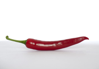red chill on white background