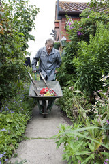elderly man pushing a wheelbarrow up his garden path