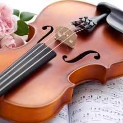 Obraz premium Violin mit Rose
