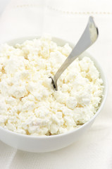 Cottage cheese close-up