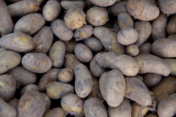 Kartoffeln
