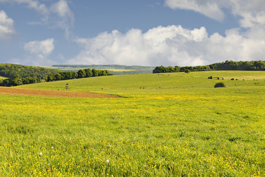 Blossoming grassland in Rouhling
