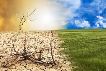 Deurstickers cambio climatico © luigi giordano