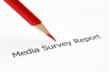Media survey report