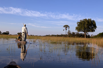 Mokoro