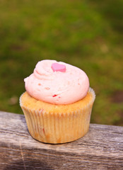 DC Cupcake