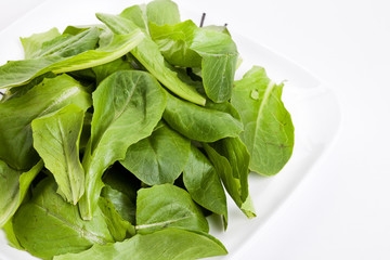 Salad Spinach