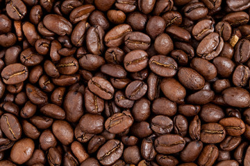 Coffee Bean