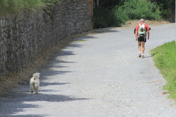 Padrone e cagnolino in montagna