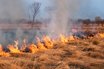 Fire on the nature
