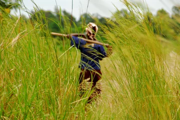 Gardinen Afrikanerin © africa