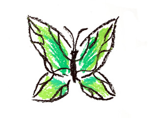 green butterfly simple illustration