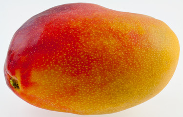 mangue