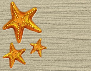 Fototapeta na wymiar Stella Marina e Sabbia Sfondo-Starfish and Sand Background