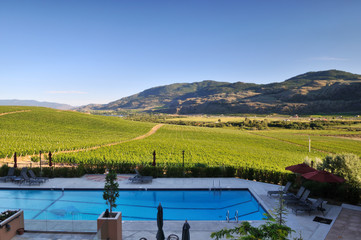 Obraz premium Vineyards and Orchards in Osoyoos, Okanagan Valley