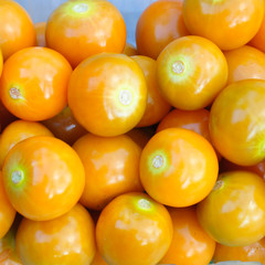 cape gooseberry