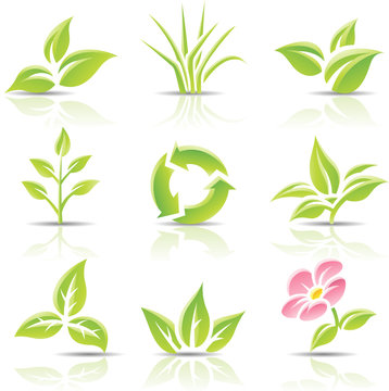 vector icons of leaves and a flower