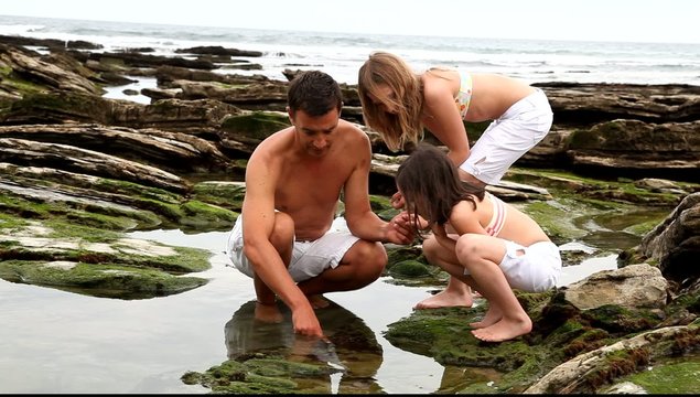 Father with kids shellfishing at low tide