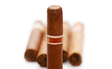 cuban cigar