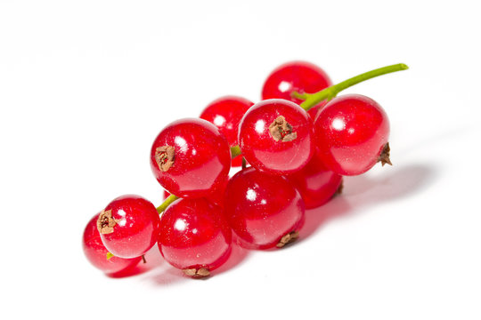 Johannisbeeren