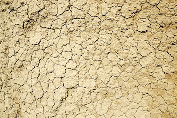 dry earth