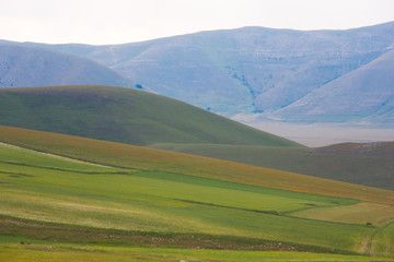 Castelluccio di Norcia