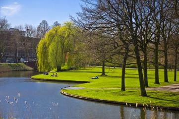 Beautiful green lawn on the canal bank in Amsterdam.