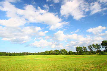 Midwest Prairie Scenery