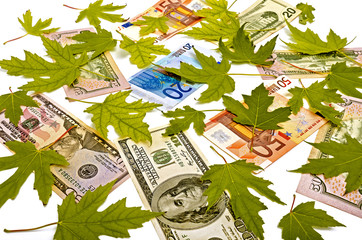 Dollars, Euro and yellow leaves