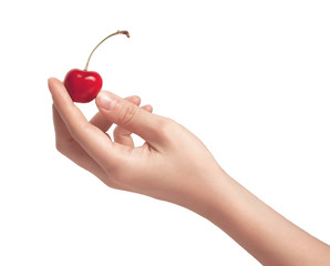 One sweet cherries in a hand.