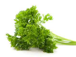 curly parsley