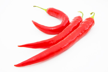 red hot chili peper