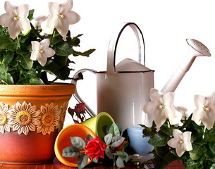 Colori e Giardinaggio