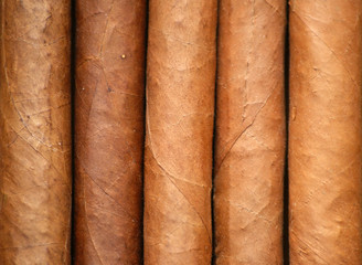 cuban cigars
