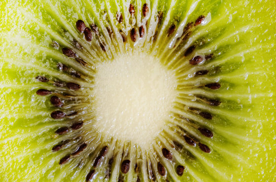 kiwi close uo