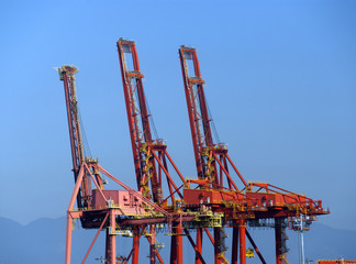 Fototapeta na wymiar Cranes in port