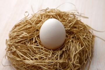 Egg in nest