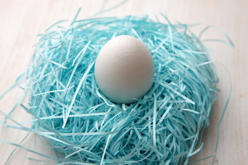Egg in nest
