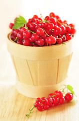 Red currants in a wooden container