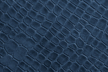 Blue crocodile leather imitation texture .