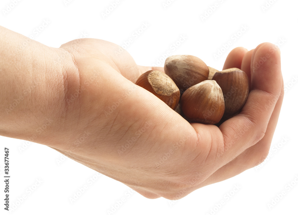 Wall mural hazelnuts