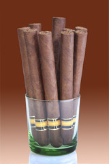 Bunch of long cigars in a glass