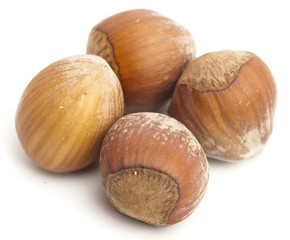hazelnut isolated